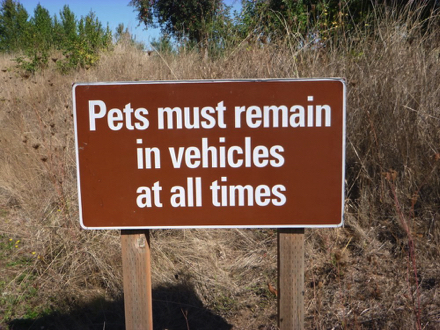 Sign at driveway - “Pets must remain in vehicles at all times”